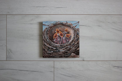 Nest with birds 6x6in