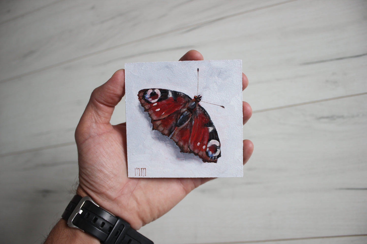 Butterfly 4x4in